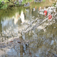 ȥ���ʱ̫����