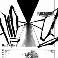Bleach[349]