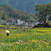 ������Դͽ��4���μǣ��Ͳ˻���ʱ������������Ϫ����ǰ��