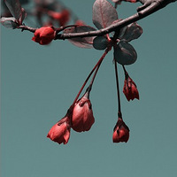 ����������Ҫ��ȥ���߲���(��Ƭ)