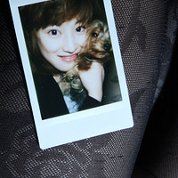 ���������֡�