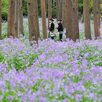 �ּ������� �ο��뻨������