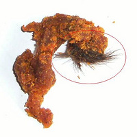 ��Թ�������ţ�����?