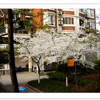 ���ݽ�ͷӣ��������-----�ҼҴ�ǰ���Ǽ���ӣ��