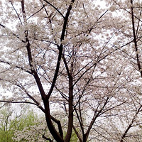 ���ݽ�ͷӣ��������-----�Ҽ�С������Ǽ���ӣ��