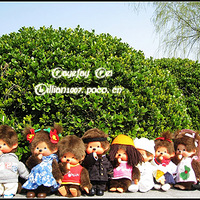 �������������ﾭ��ż��� ���ǻ�԰ ����Ƭ�Σ���