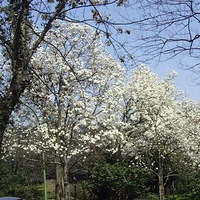 �������������»����������ص�����