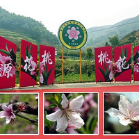 �һ�ʢ���ĵط�