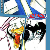 Bleach[353]
