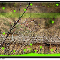 ������ϼ�������ٵ�����ҵ��