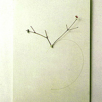 ���Դ����׸�ϲ�������������