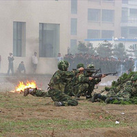 ʵ���й���ţ��ѧ����ѵ