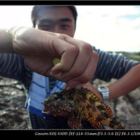 5.1��ɽ����,��ӭ�����ש��.6F�и��¹�.