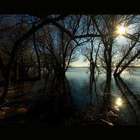 �¹�רҵ��ӰͼƬ���͡�05��