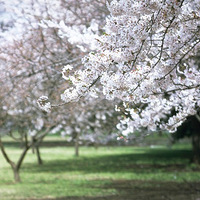 * �� �� �� *