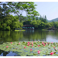 ����С��������������