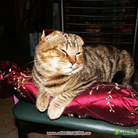 DIYĳɹȴλJMգ3ҳ¶