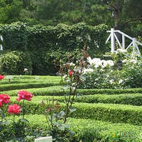 �����ʵ����Դ�֮��----�ձ���ɫ�羰��Ƭ��ࡷ