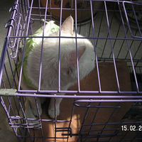 ��èè��������