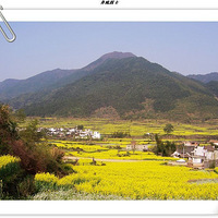 ��Դͽ������ ɹɹPP��