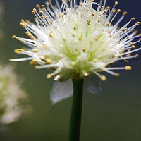 �ڼ������Ĵл�