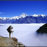 �����ƶ�~~������Խ��ȫ���꣩