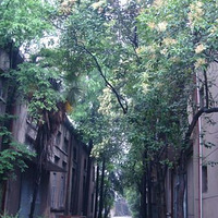 ��ѵĸ�����Ӱ����������ռ䣡loft���ɻ�ͷ������