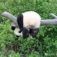 ���ɰ����������Σ�����