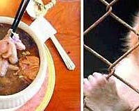 �ײе��й��Ŵ���� ��ҳԼ���