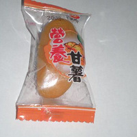 ��Ҳ��ɹɹ�Ұ��Ե���ʳ