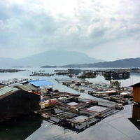 18��ǧ����-����