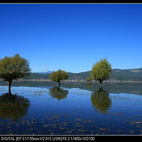 �������������������к���3¥����Ұ����