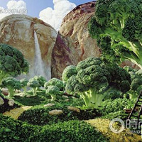 Ӣ����Ӱʦ������ʳ�ﻭ�� �൱���棡(��2ҳ�и�����~~)