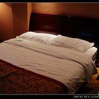 ����������ֻ��PP��