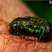 �ҵ�����ī��ι���֮�á��Ѹ��µ����������ܣ����ڸ��£�