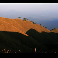 �书ɽ����������;����������