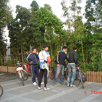 11.9����-����-����-��������