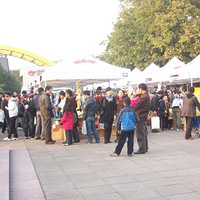 ��һ�ι�����֣���Ƭ����(Ԫ���Ѹ���)