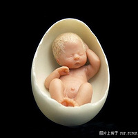 ��������������Ӥ��