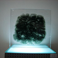 ��������--����˼�����.��Ժ����������У��չ