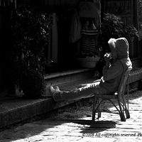 �����������������������������ֲ�ֹ�����������������ĵ�Ρ������ϸ��¡�