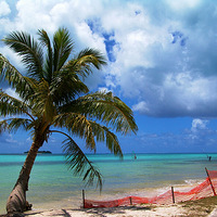 ���շ紵������-����