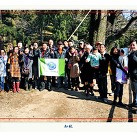 �ຼ��ɽ�������