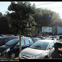 2009��Ԫ�����羶ɽ���Ƭ