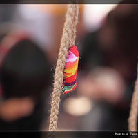 �����֡���һ��PLMM�������ֹ���Ʒ