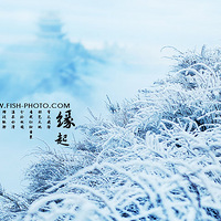 ����ѩ�ػ�ɴ��----���������ţ�