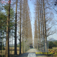 Ԫ���ຼ�տ�¶ӪPP