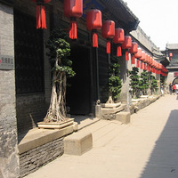 ɽ��������