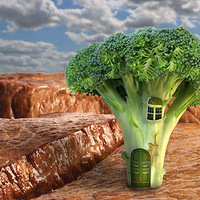 ����ʦ�������黳(ͼ)