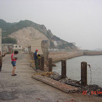 ���벶��ǣ���Ƭ������ϣ�